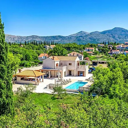 Midnight Serenity * Čilipi